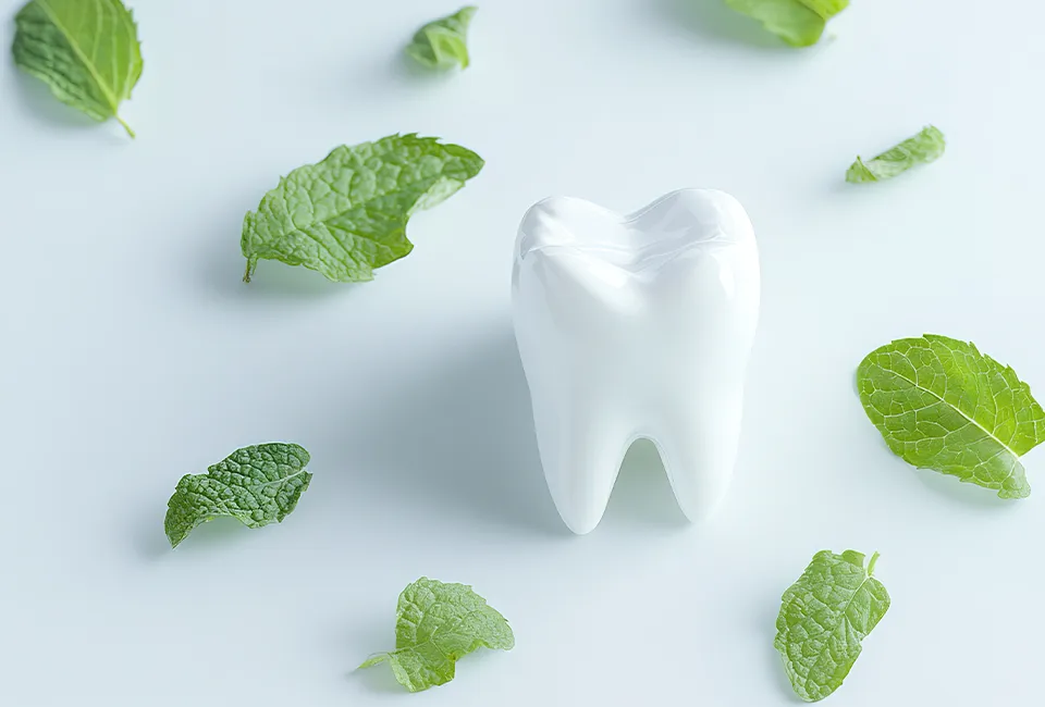 canyon country dentist